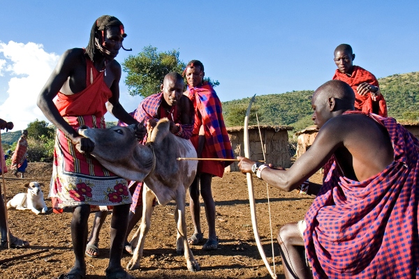 The Maasai Tribe - the most famous ethnik group AFROMAXX