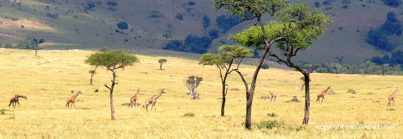 grote trek masai mara