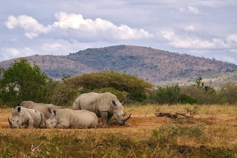 3 days masai mara safari itinerary